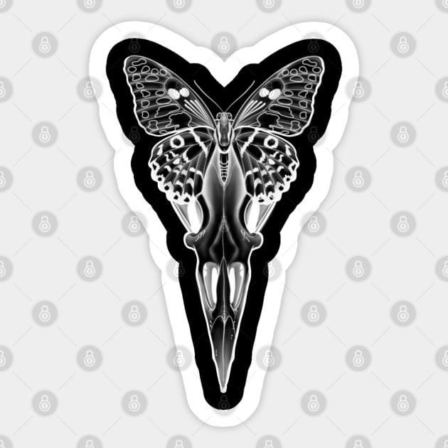 Butterfly Scull Sticker by Print Art Station